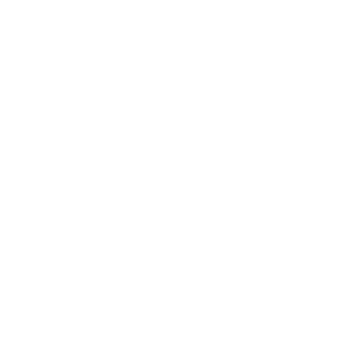 Nezami Logo
